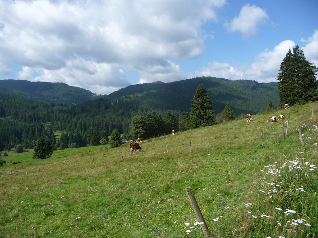 Bio- Und Wellnesshotel Alpenblick Höchenschwand Dış mekan fotoğraf