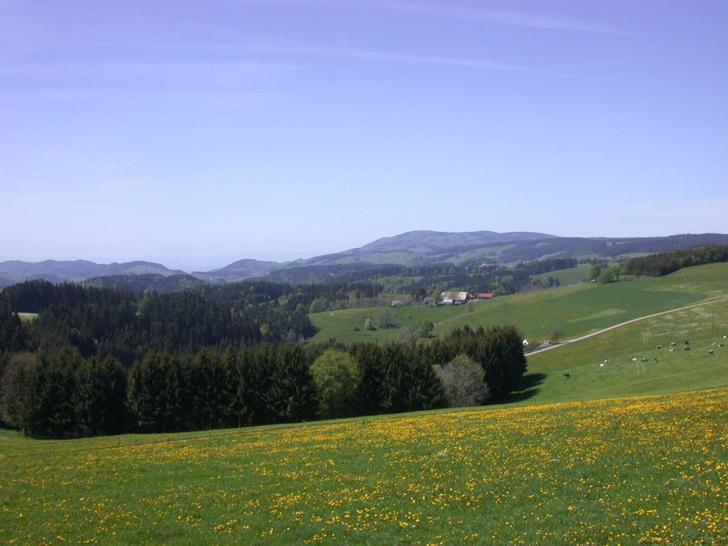 Bio- Und Wellnesshotel Alpenblick Höchenschwand Dış mekan fotoğraf